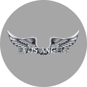 Evos Angels A logo of a media that share about Selin Akdeniz the love song composer in Istanbul
